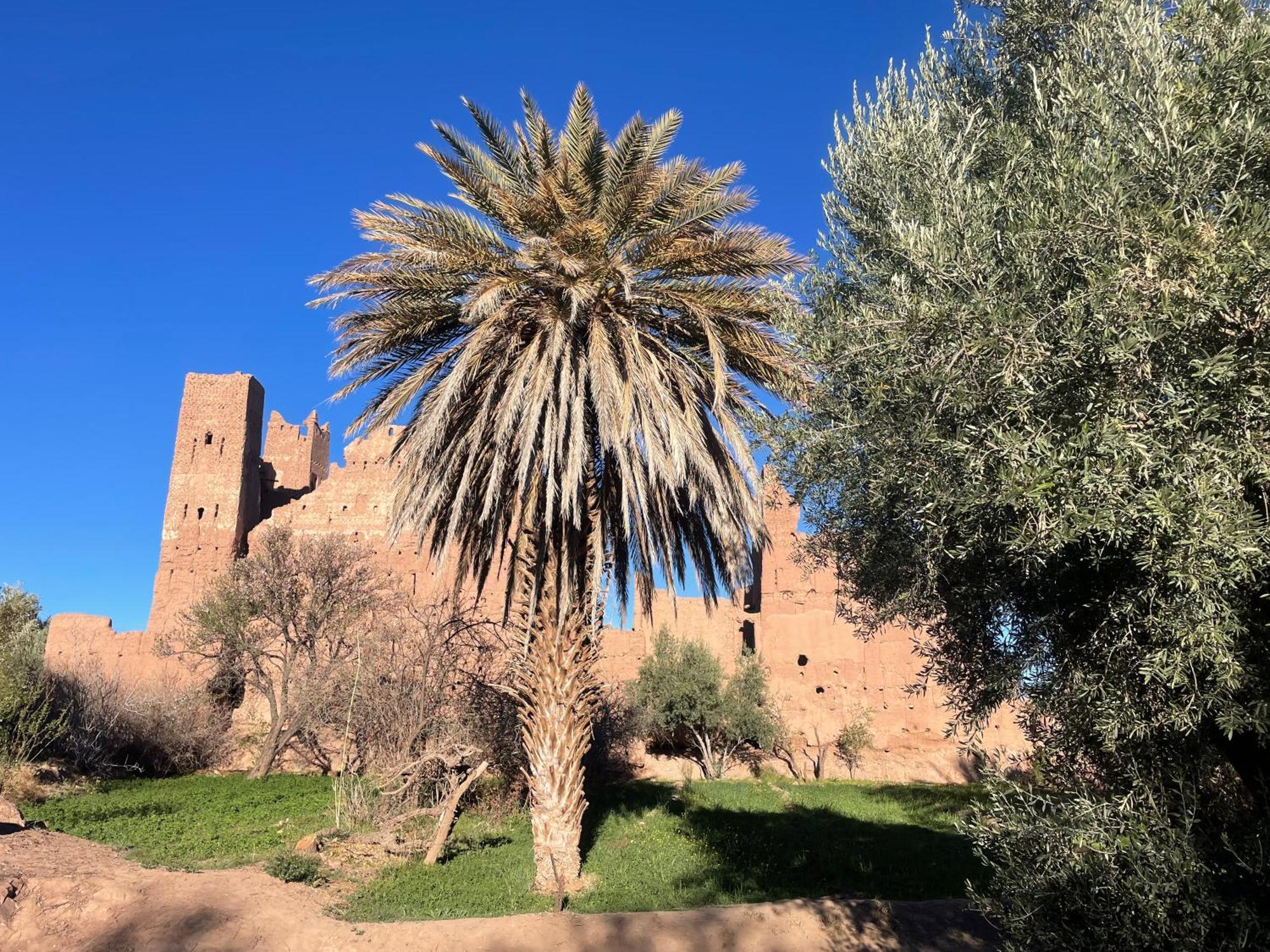 Maroc Des Merveilles - Chez L'Habitant Kelaat-M'Gouna Eksteriør bilde